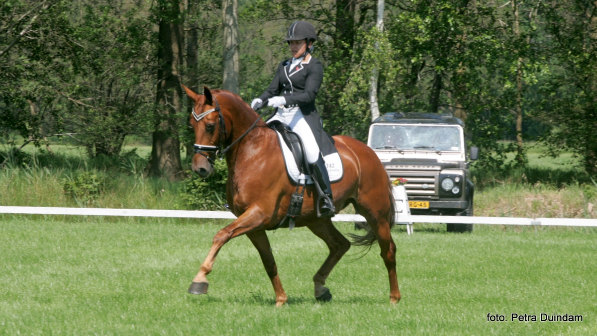 Mellanie Welles won met Horses2fly Zander de zware tour bij het CH Oosterwolde.