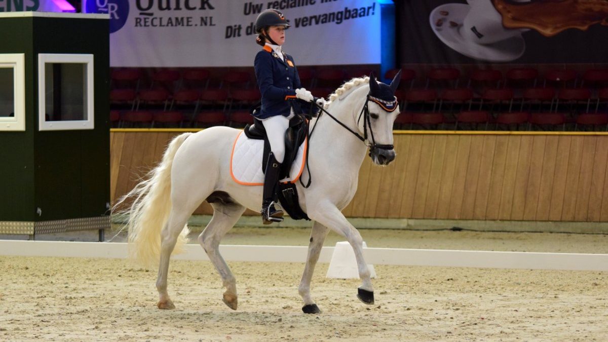 Micky Schelstraete werd tweede bij de pony's met Elin's Noncisdador.