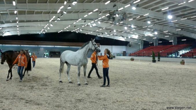 Lysanne Kruizinga en haar paard Elberta VDK, oftewel Early Grey.