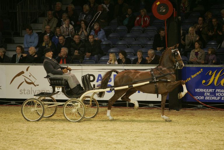 Lambertus Huckriede en Unaniem tijdens het NIC in 2011.