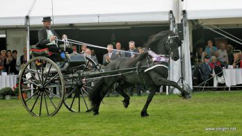 Sybren Minkema won met de hengst Nane de Nieuwelingen competitie. CH Drogeham