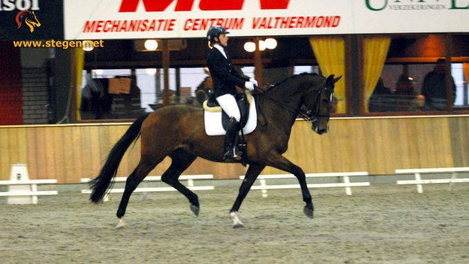 selectie in Exloo. Drents kampioenschap. Natascha Veen rijdt haar eigen fokproduct Damoiselle naar de overwinning in de Z2.