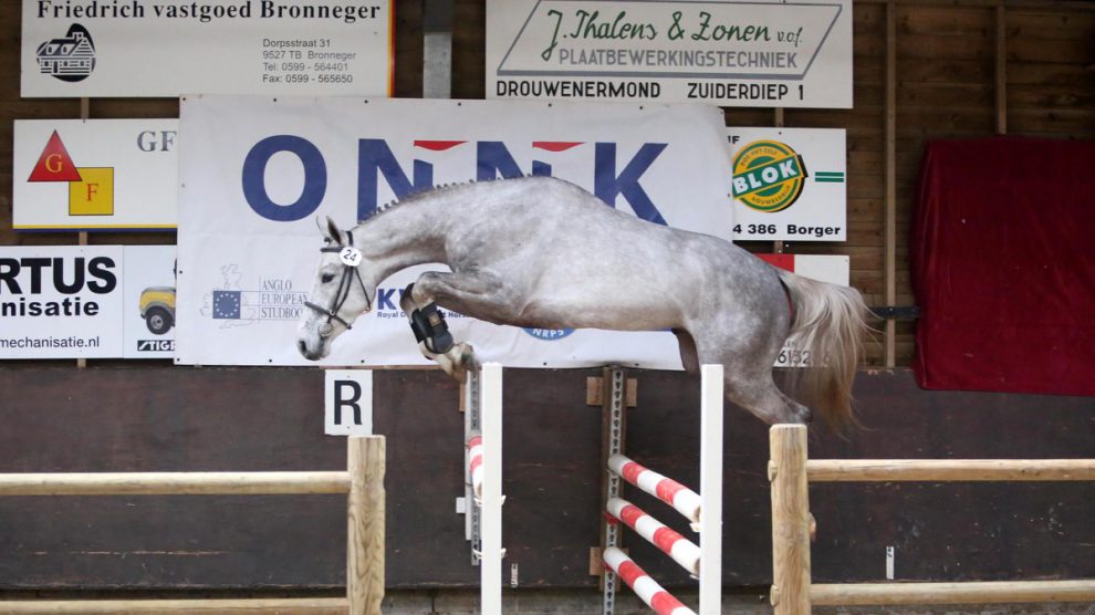 De finale van het ONNK is zaterdag vanaf 13.00 in Exloo.