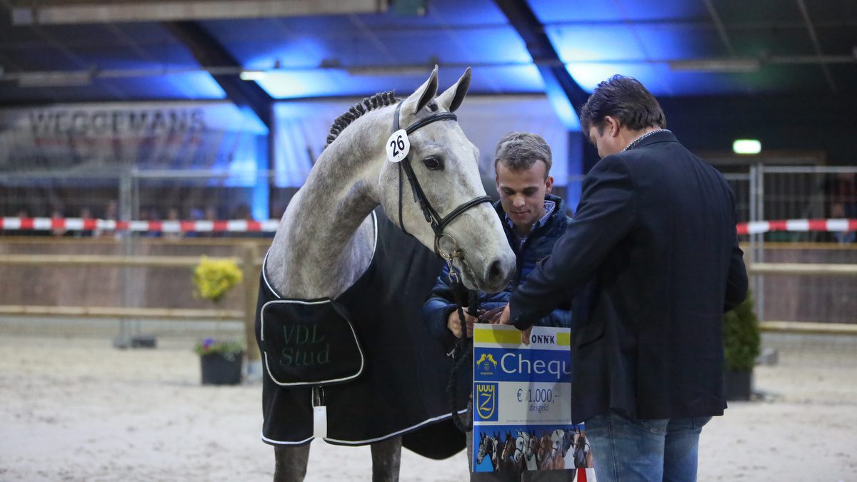 Kirian (v. Emir R) werd ONNK-kampioen bij de springpaarden.