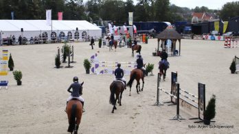 Jumping Outdoor Tolbert