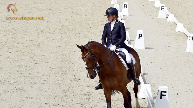 Paulien Alberts won met Enrico beide ZZ-zwaar proeven.