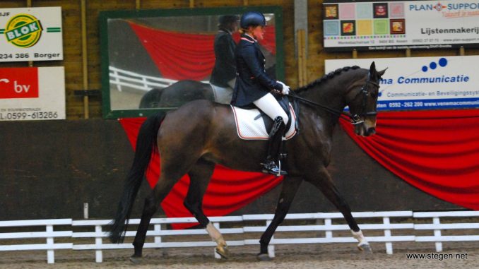 Drents kampioene Paulien Alberts won met Enrico in Bronneger beide Z2-proeven.