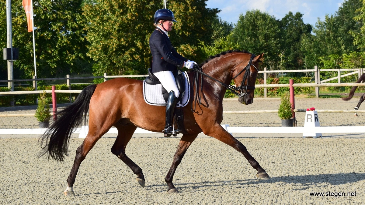 Paulien Alberts