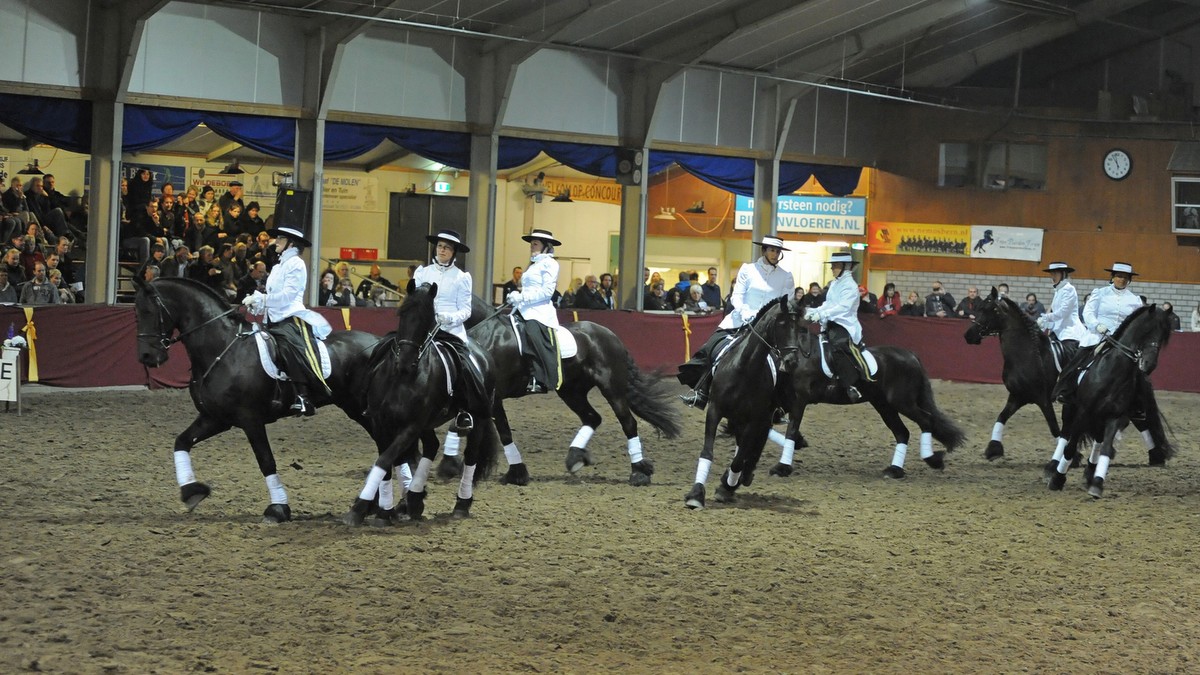 Tijdens Pegasus, het Drents gala van het paard, zijn diverse shows en demonstraties te zien.