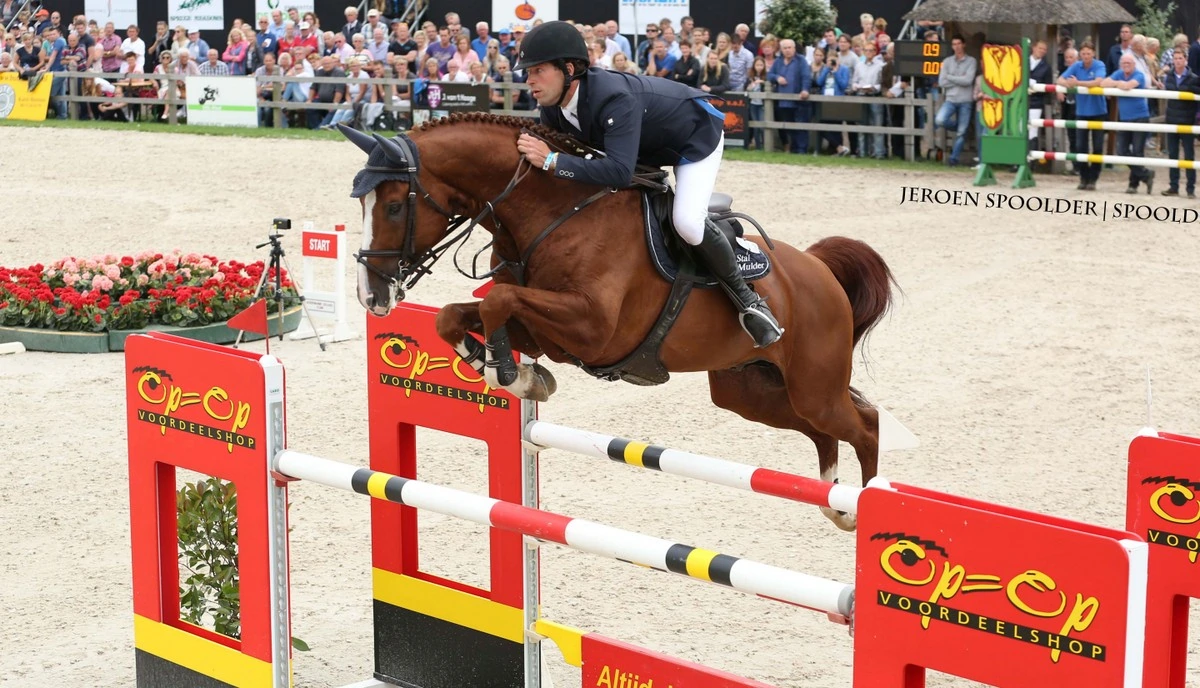 Pim Mulder rijdt Zo Special naar de overwinning op het CH De Wolden. Foto: Jeroen Spoolder