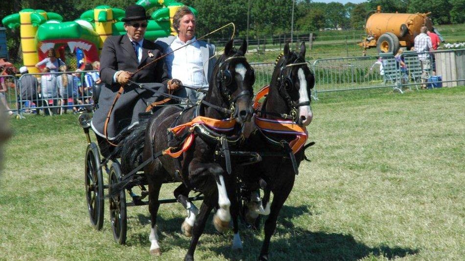 Suprise Gusty en Suprise Mathie van Frits Rovers. Suprise Gusty en Suprise Mathie van Frits Rovers.