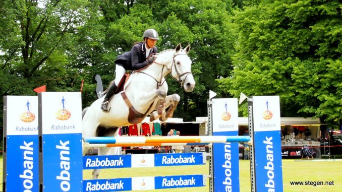 Rianty Zwart werd met Elievia Gronings kampioen in de Z. (archieffoto). foto: Reinold Lowes