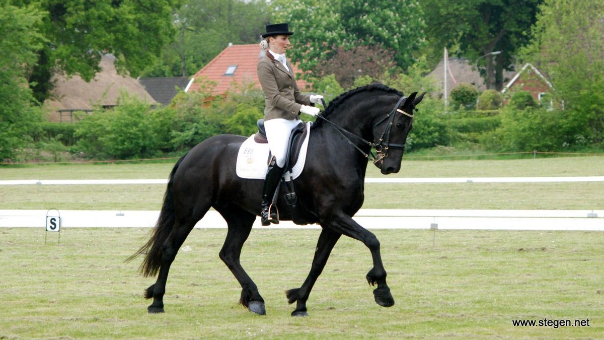 Friese paarden zijn populairder dan ooit in de dressuursport. Op de foto Sarina Mayr.