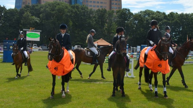 De Groninger kampioenschappen zijn ook dit jaar weer in het Stadspark in Groningen. foto: KNHS Groningen