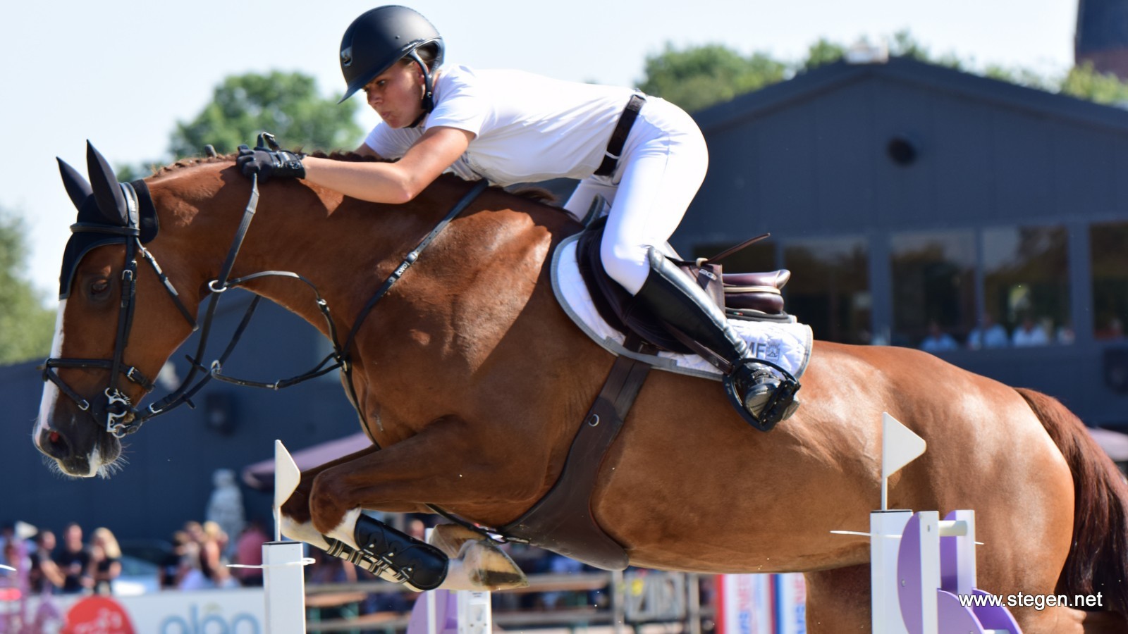 Suzanne Tepper domineert finale Hippos Concours Appingedam - Stegen.net - Stegen.net