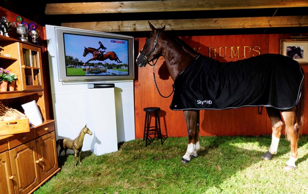 De luxe stal met TV. foto: Horses24.be