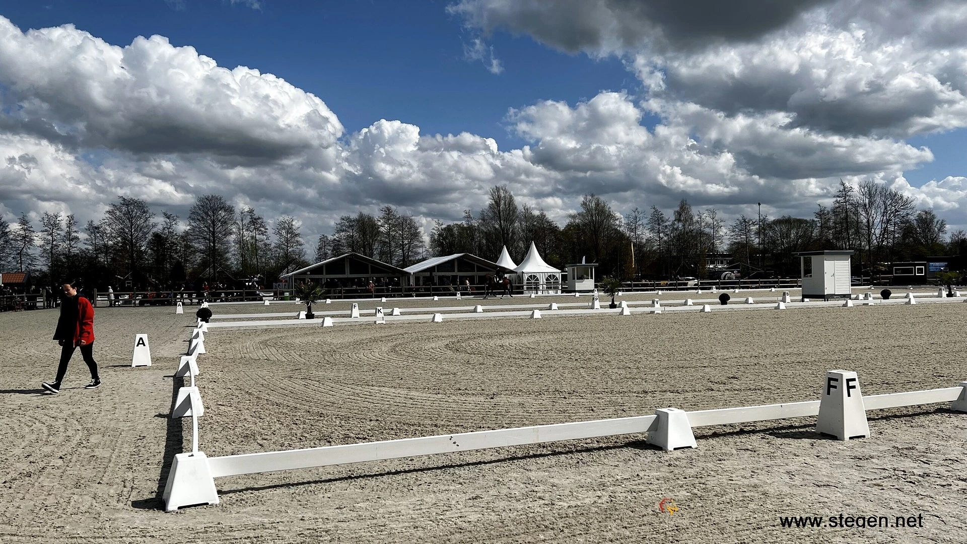 Top Dressage Tolbert