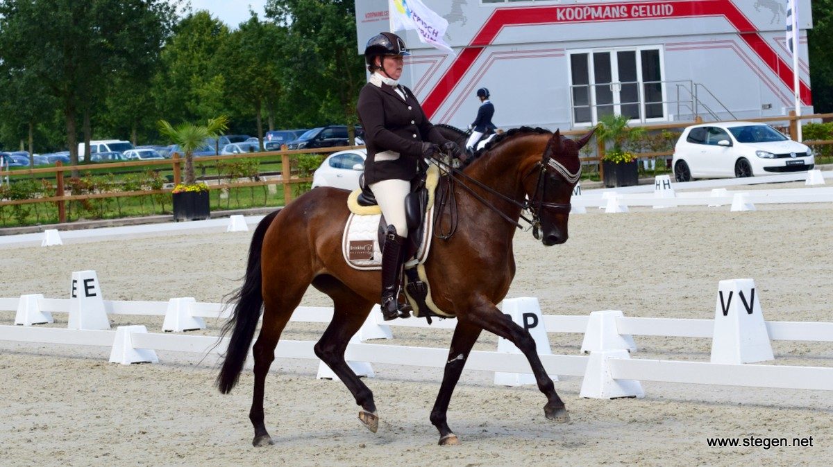 Drents kampioenschap Exloo 2017. Trea Mulder-Dolsma op weg naar de Drentse titel met Brinkhof's EnVogue.