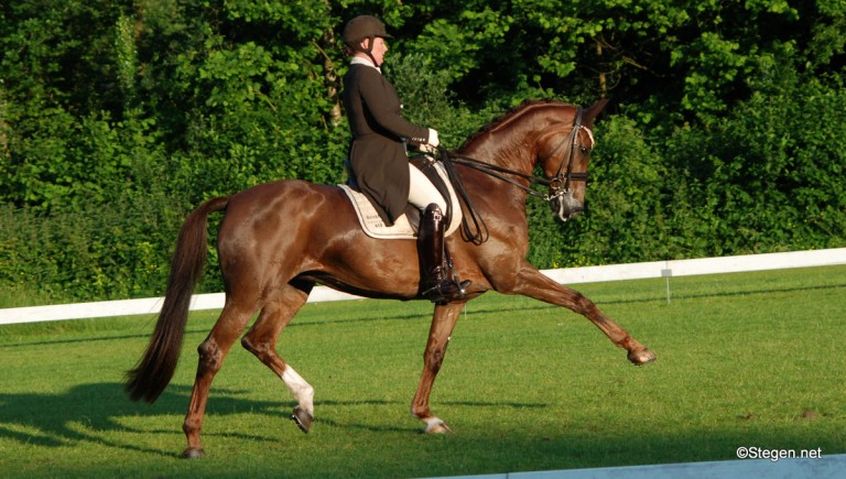 Trea Mulder en de geweldig dravende Brinkhof's Zaira wonnen de Prix st. Georges en de Intermédiare I. ©Steven Stegen
