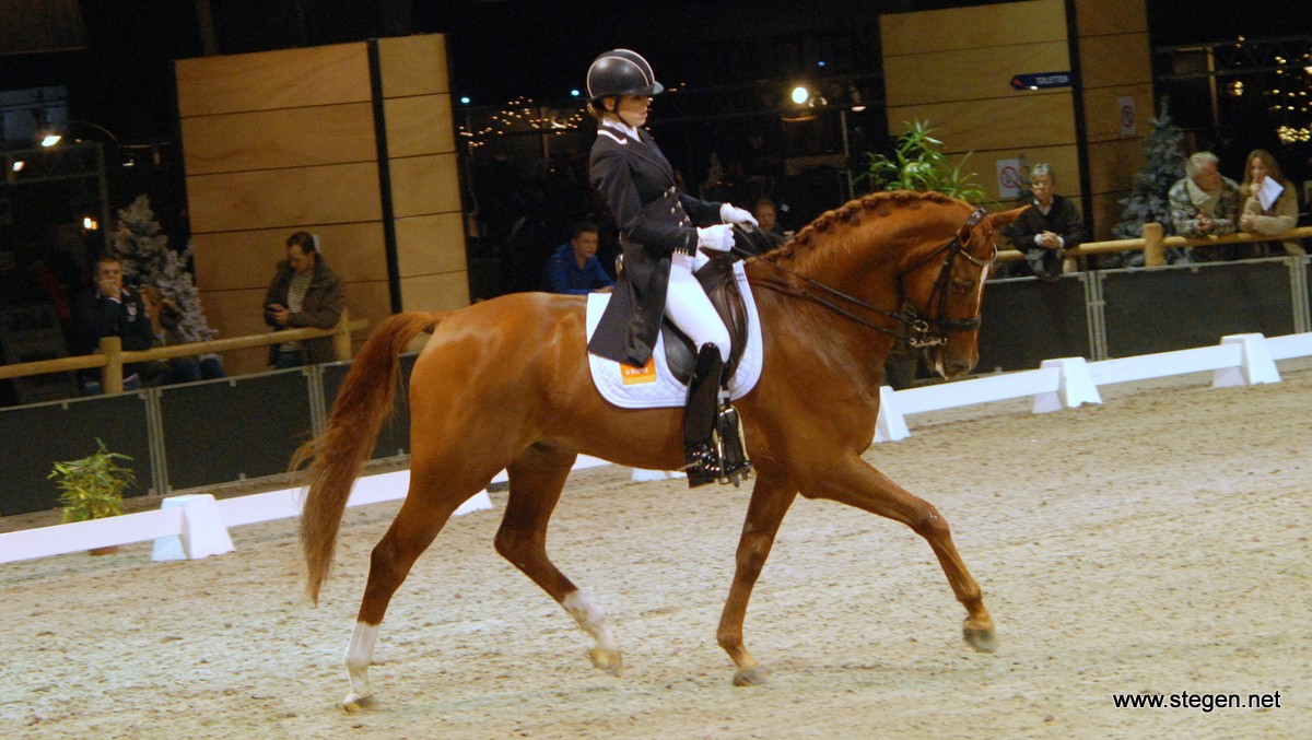 Indoor Groningen 2014. Vai Bruntink - Chardonnay