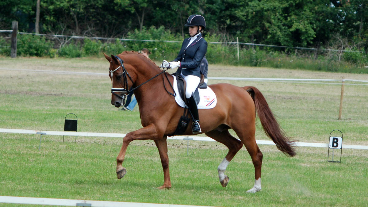 Vai Bruntink met Chardonnay op koers naar de Z2-titel. ©Steven Stegen