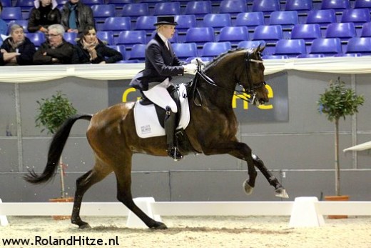 WillemienVries-Arleste-RH