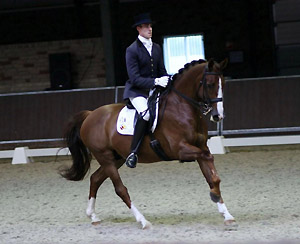 Wilmer Lanning werd zevende in de lichte tour met Tyrone. ©Roos Meertens