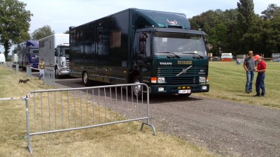 CH De Wolden aanvoer paarden