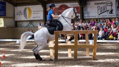 Hester Bischot bezig met Working Equitation. foto: IDPhotos.nl