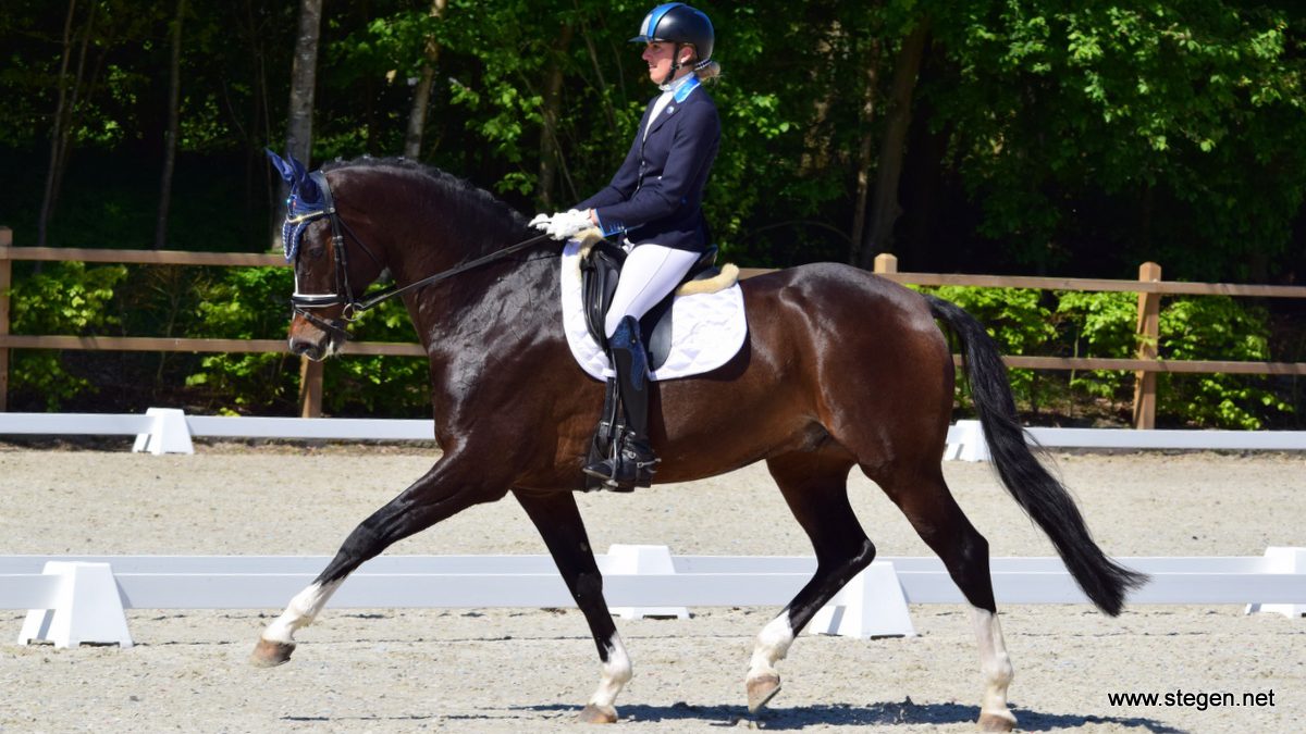 Yvonne Snieder won vrijdag met Eclipse P&P een ZZ-licht proef bij Dutch Topsport Dressage Exloo.