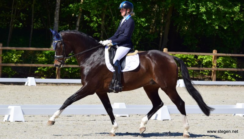 Yvonne Snieder won vrijdag met Eclipse P&P een ZZ-licht proef bij Dutch Topsport Dressage Exloo.