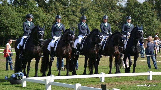 Het Z-Friezenteam Groningen kwam als enige aan de start in de klasse ZZ en werd in de gecombineerde klasse derde. foto: Doranka Groote