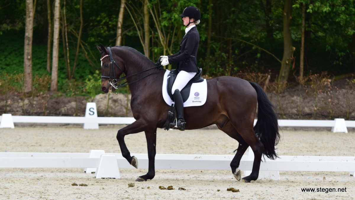 Topsport Dressuur Exloo. Zoë Zwiggelaar behaalde in Exloo de hoogste score in de ZZ-licht met haar paard Fidarsi Rossi Zrz.