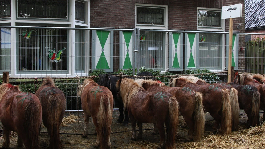Zuidlaardermarkt