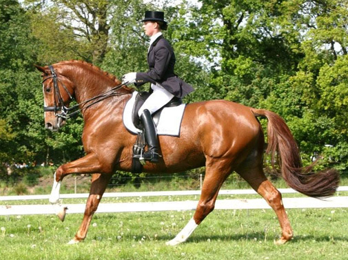 Adelinde Cornelissen bezig aan haar proef met Vivace de Jeu. ©Roos Meertens