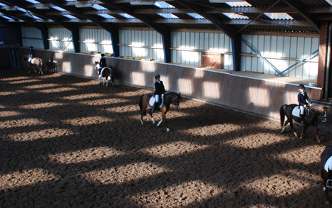 Het afschaffen van de lage BTW is funest voor de paardensector, aldus de sectorraad.