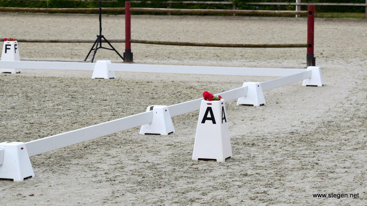 KNHS maakt team EK dressuur bekend, Rowena Weggelaar grote verrassing