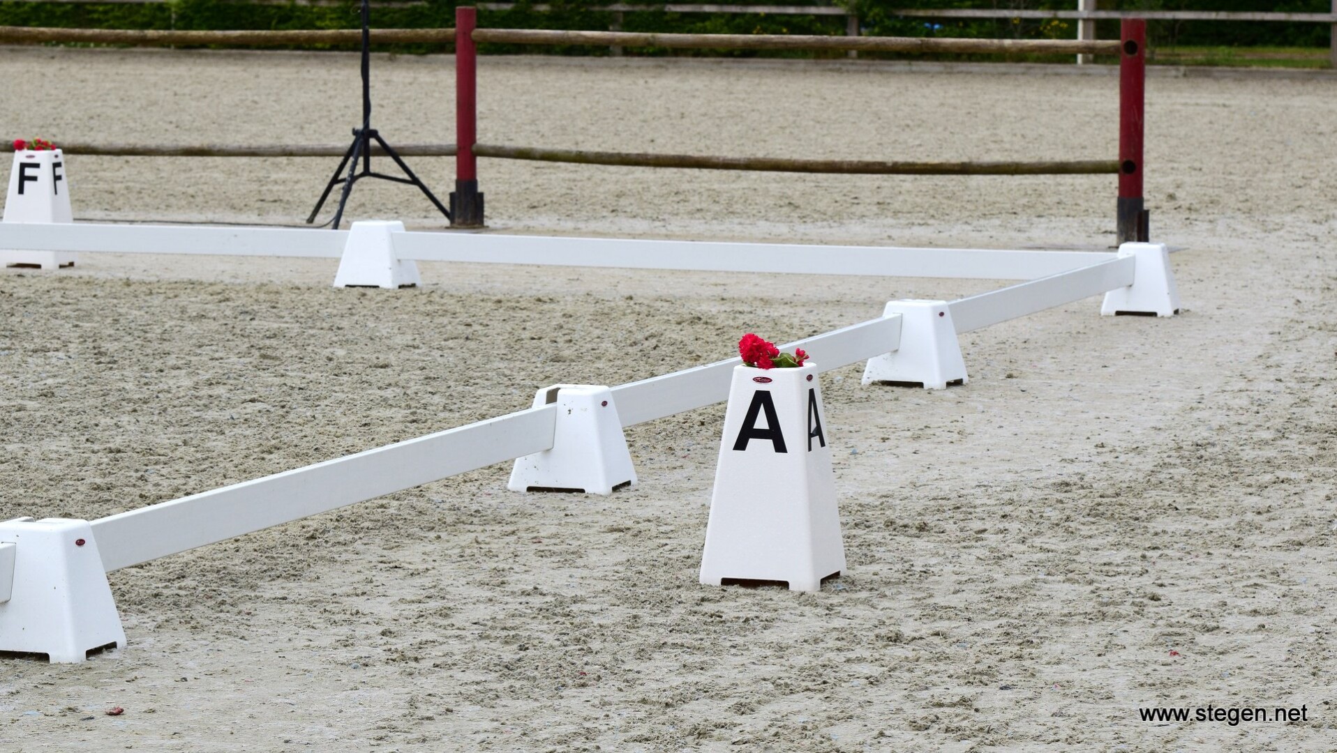 Yasmin Westerink KNHS-kampioen ZZ-licht, Marten Luiten tweede