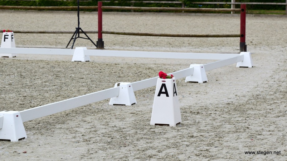 KNHS maakt team EK dressuur bekend, Rowena Weggelaar grote verrassing