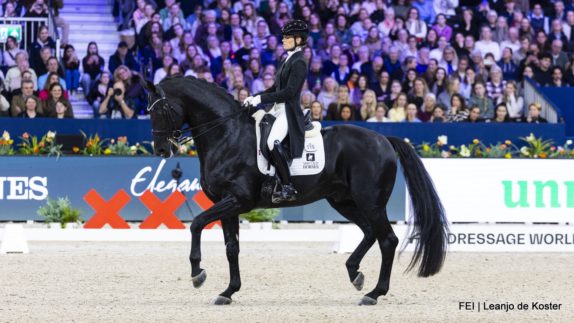 Charlotte Fry Jumping Amsterdam