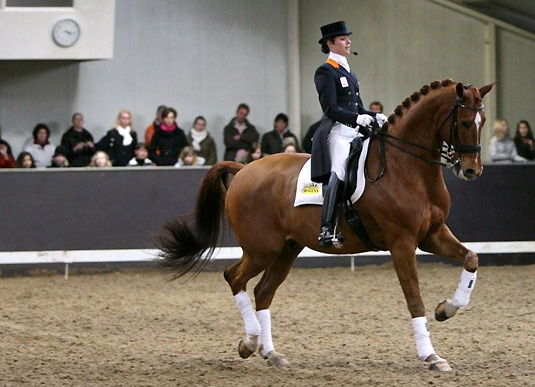 Adelinde en Parzival bezig met hun clinic. ©Roos Meertens