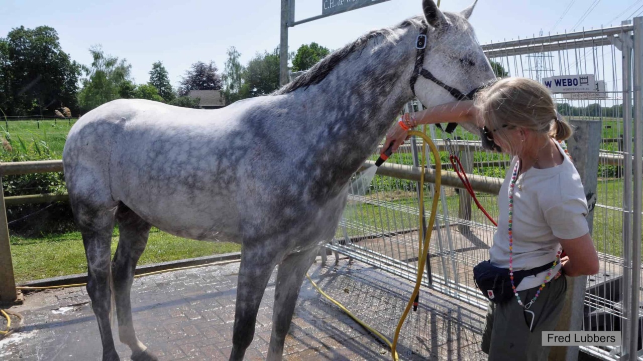 CSIO De Wolden