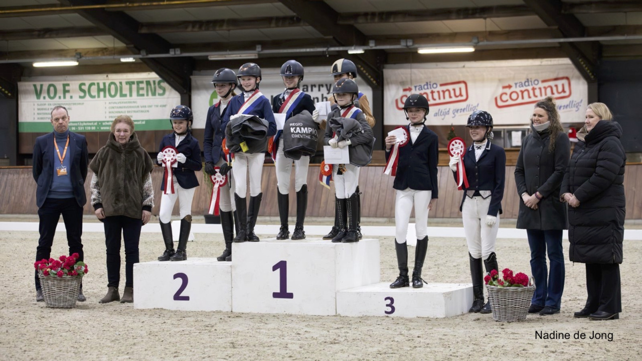 Drents kampioenschap dressuur pony's