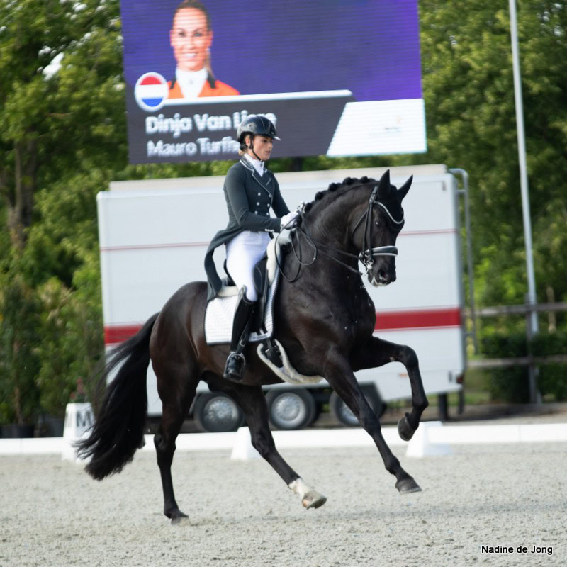 Dinja van Liere