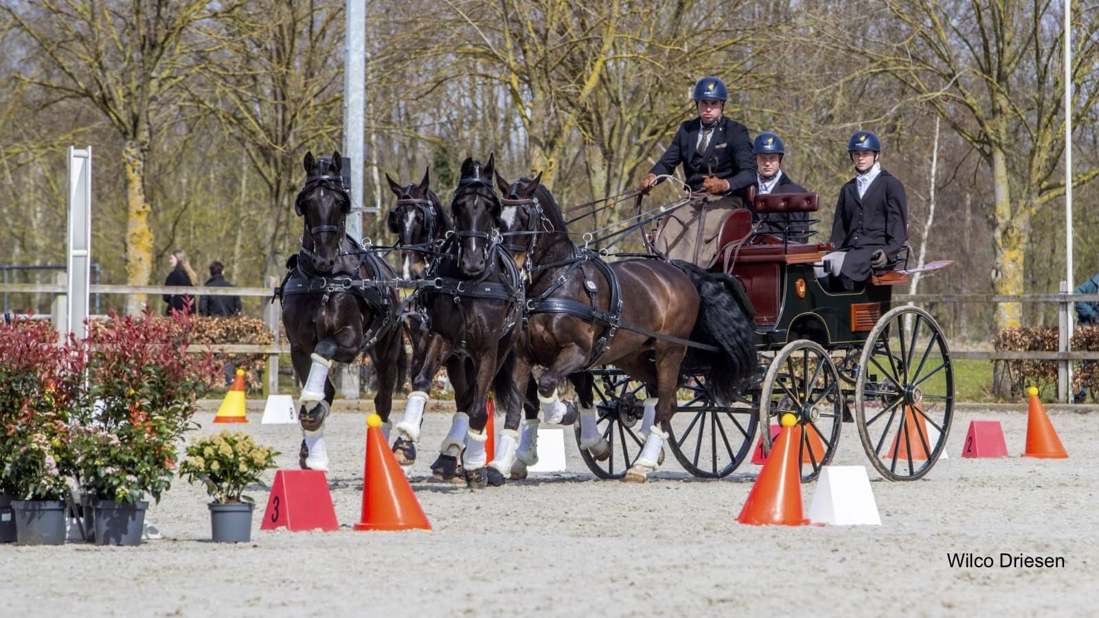 Dries Degrieck grijpt overwinning bij vierspannen in Exloo