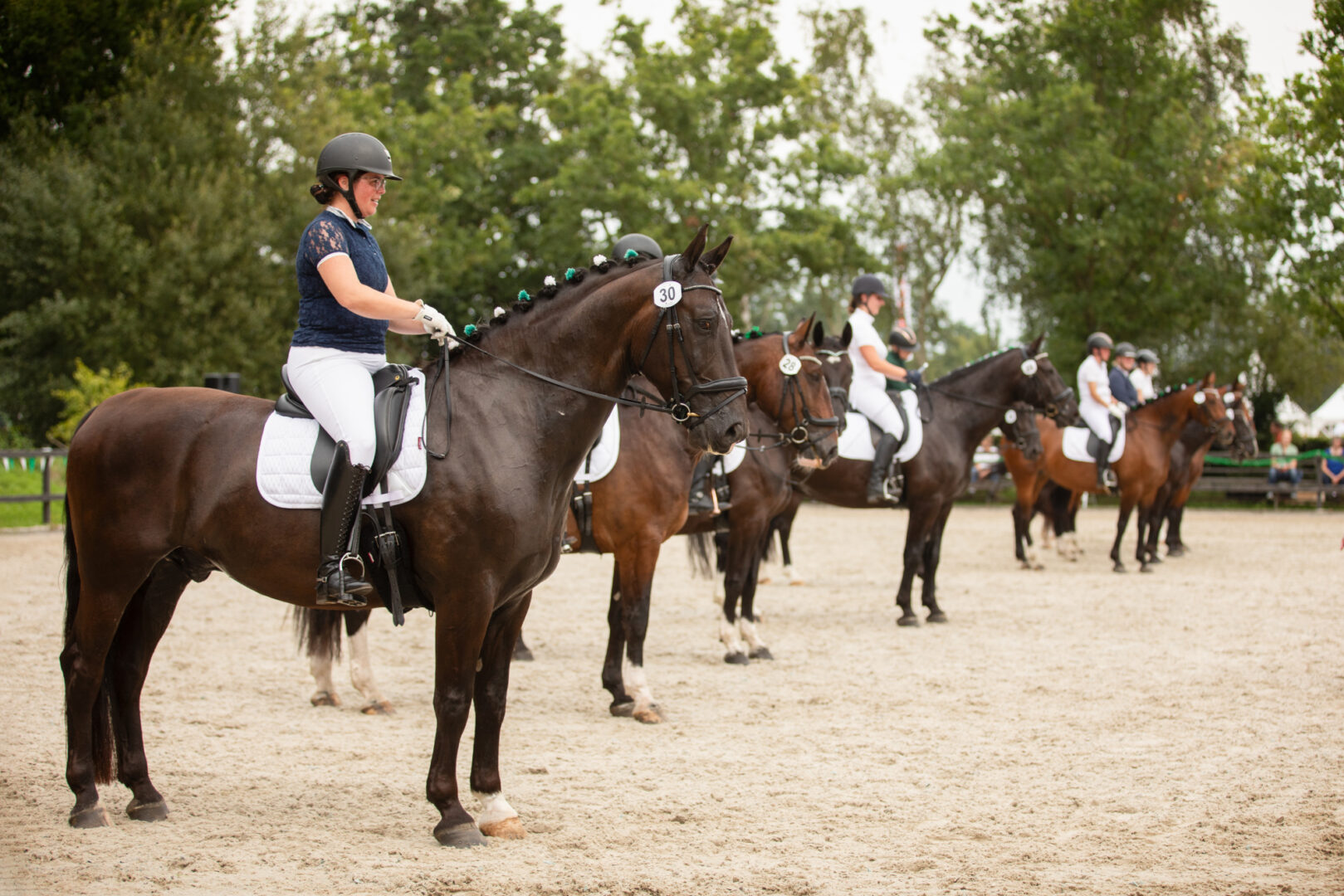 Groninger Paard