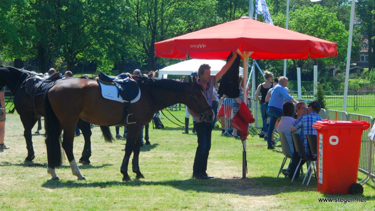 hitte paard