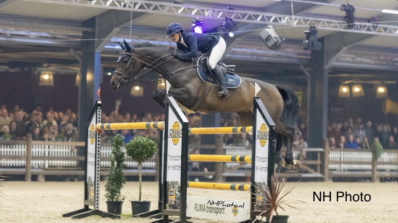 Ellen Zwijnenberg Jumping Tolbert