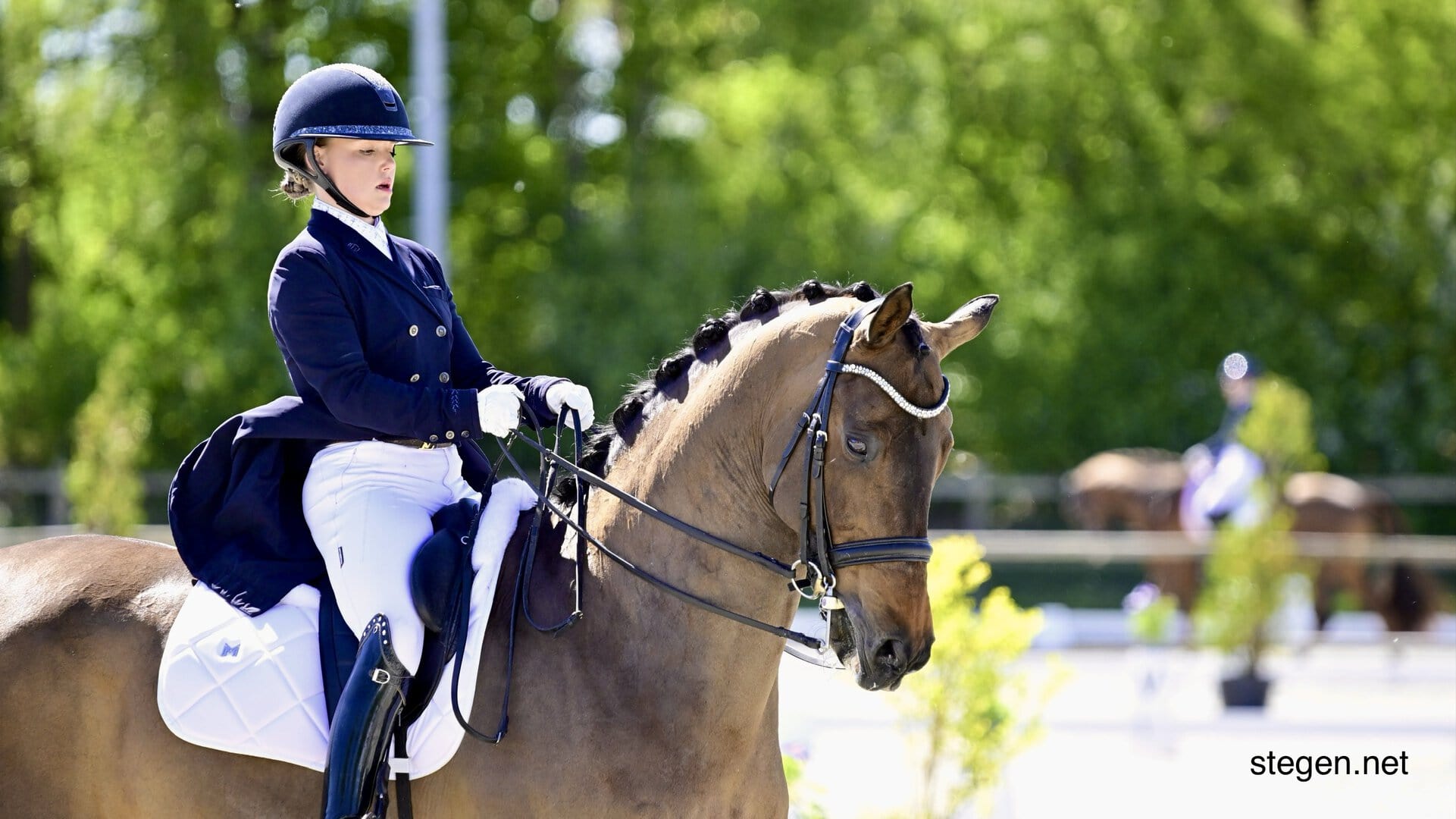 Halfweg de Grand Prix op CDI Exloo: Nederlandse amazones overtuigen