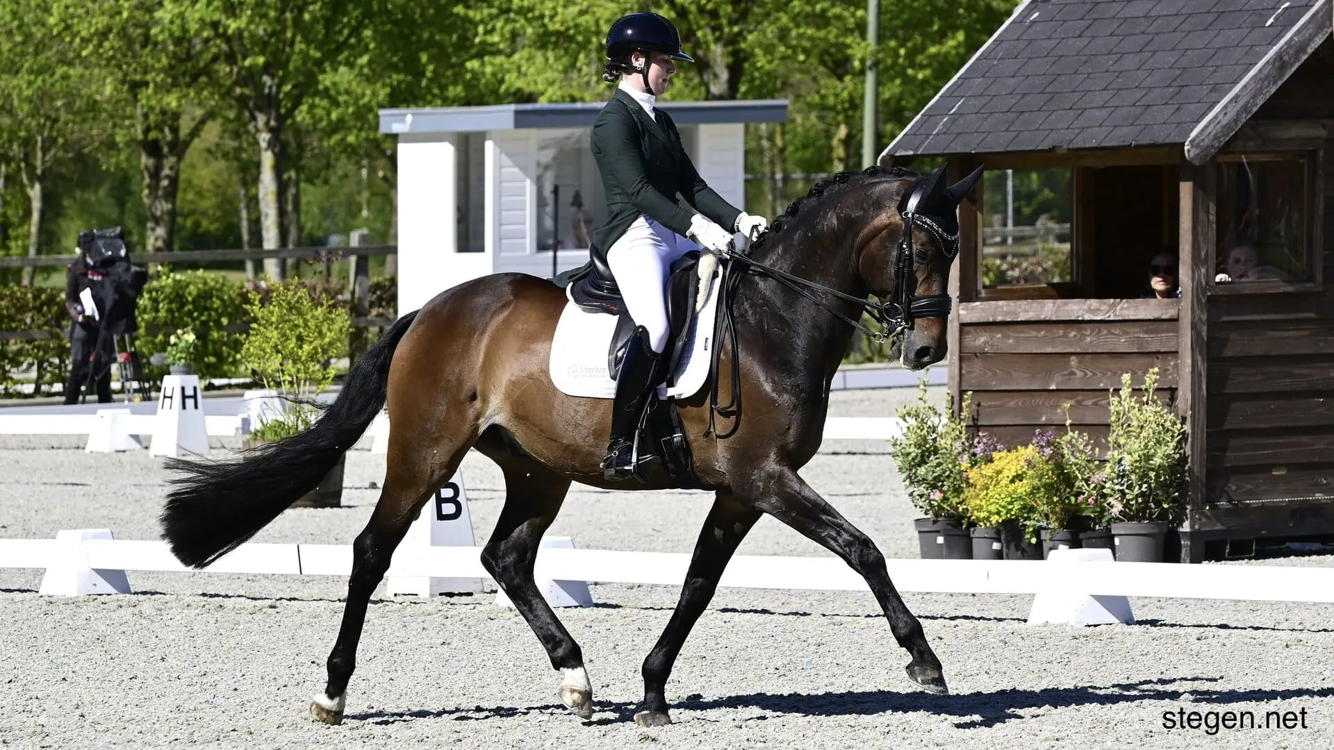 Eline Anker
